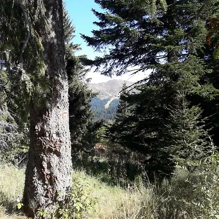 Maison Cosy Proche De La Station De Du Lioran 4 Personnes بيت للعطل