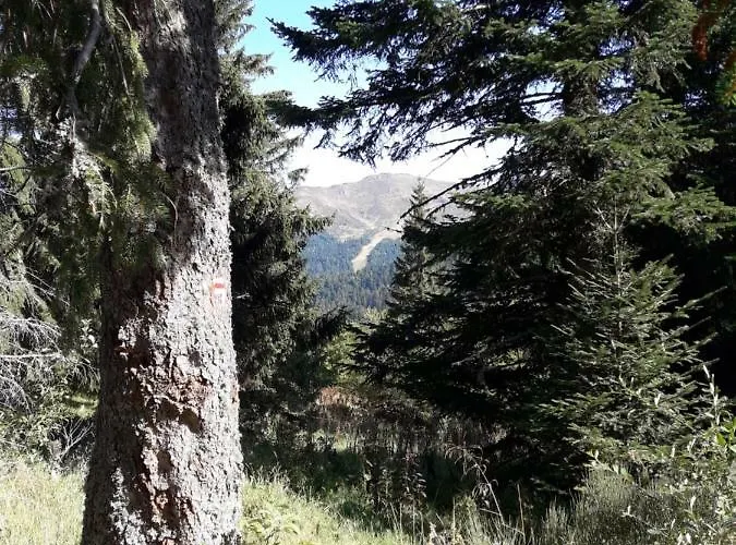 Maison Cosy Proche De La Station De Du Lioran 4 Personnes Дом отдыха