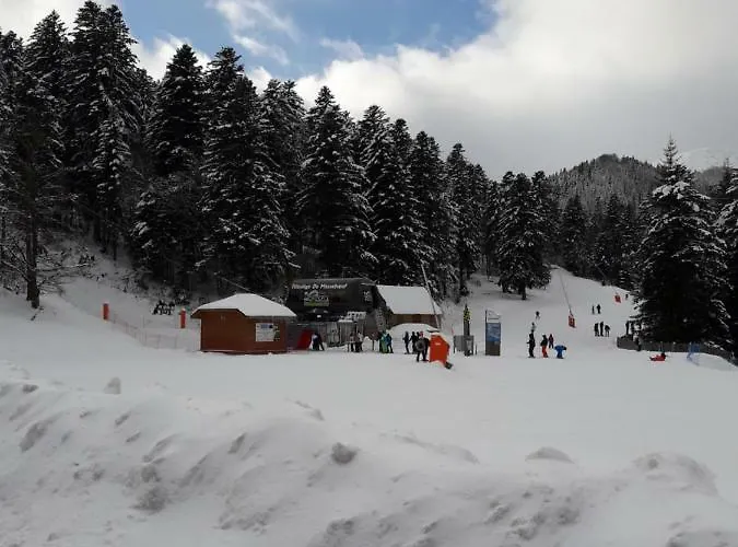 Maison Cosy Proche De La Station De Du Lioran 4 Personnes * Thiezac